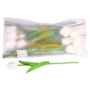 Artificial Flowers, Tulip White Single (20 Pack)