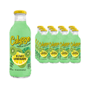 Calypso, Lemonade, Kiwi, 16 oz (12 Pack)