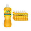 Cactus Cooler, Soda, 20 oz (24 Pack)