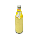 Parrot, Coconut Milk with Nata De Coco, Banana, 16.4 oz (12 Pack)
