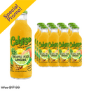 Calypso, Lemonade, Pineapple Peach, 16 oz (12 Pack)