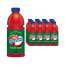 Snapple, Apple Tea, 32 oz (12 Pack)