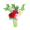 Rose 2pc Stem Assorted Colors, 18 in (24 Pack)