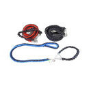 Pet Dog Leash With Collar Assorted, 3x1.2 mm (6 Pack)