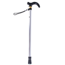 Walking Stick Silver Metal, 3 ft (24 Pack)