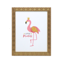 Photo Frame 8 X 10 Assorted (12 Pack)