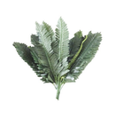 Fern Spray Artificial Green, 18.5 in (60 Pack)