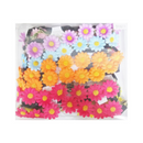 Headband With Flowers Assorted Colors (12 Pack)