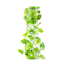 Leaves Wall Decoration, 80 in (12 Pack)