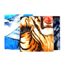 5 Star, Blanket Queen Animal Design Assorted (10 Pack)