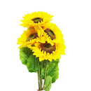 Sunflower Long Stem, 24 in (24 Pack)
