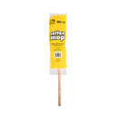 Mop with Stick