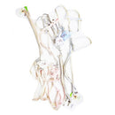 Pet Dog Leash & Collar Assorted Colors (12 Pack)