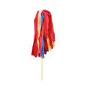 Mop with Stick