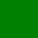 Foam Board Green (25 Pack)