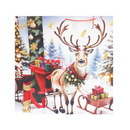 X-Mas Gift Bags 2-XL Assorted (12 Pack)