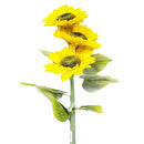 Sunflower Long Stem, 25 in (10 Pack)