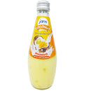 Jans, Coconut Milk With Mango Drink, 9.8 oz (24 Pack)