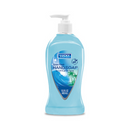 Lucky, Hand Soap Ocean Fresh, 13.5 oz (12 Pack)