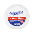 Blue Star, Paper Plates, White, 9 in (24 Pack)