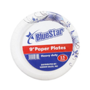 Blue Star, Paper Plates, Blue Flowers, 9 in (24 Pack)