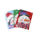 X-Mas Gift Bags MD Assorted (12 Pack)